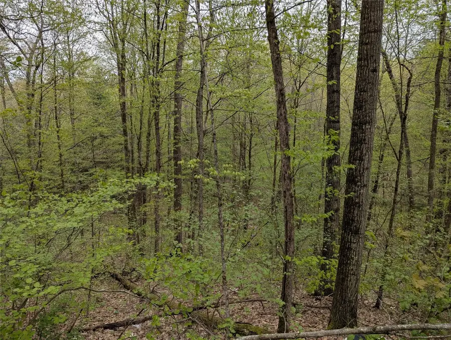 00 Union Hill Road, Candor, NY 13743 - Image #3