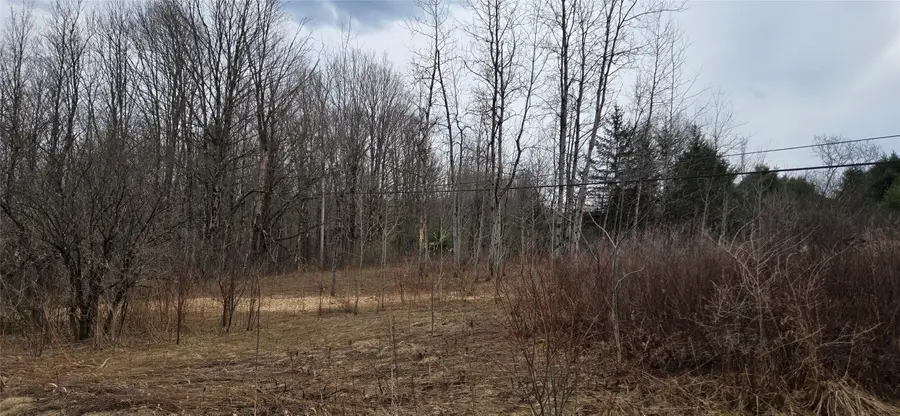 0 Rt-41, Afton, NY 13730 - #3