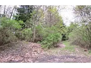 25 Jt Blvd. & 25 Della Rd., Johnson City, NY 13790