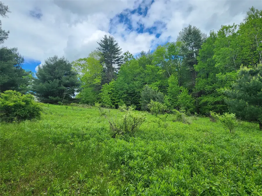 0 Race Road, Greene, NY 13778 - #2