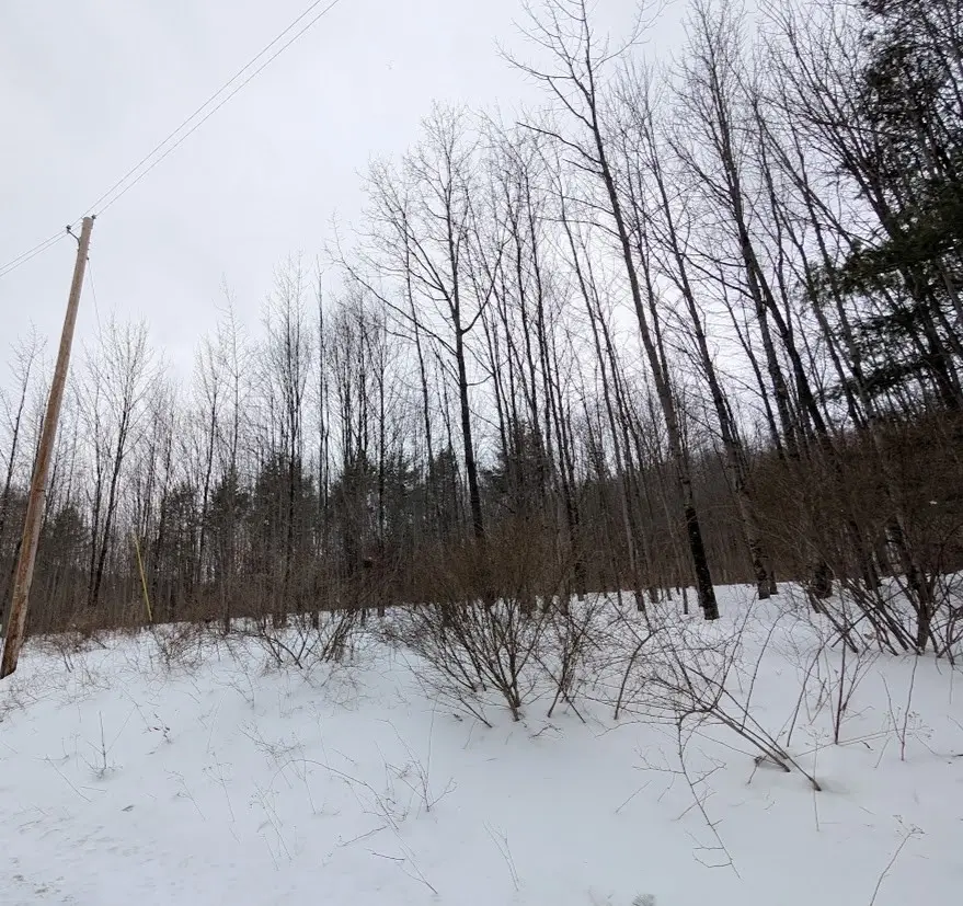 458 Mount Carmel Road, Windsor, NY 13865 - #3