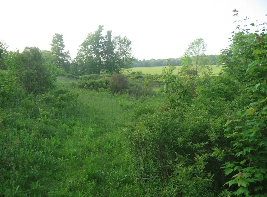 329 Chaffee St, Harpursville, NY 13787 - #2