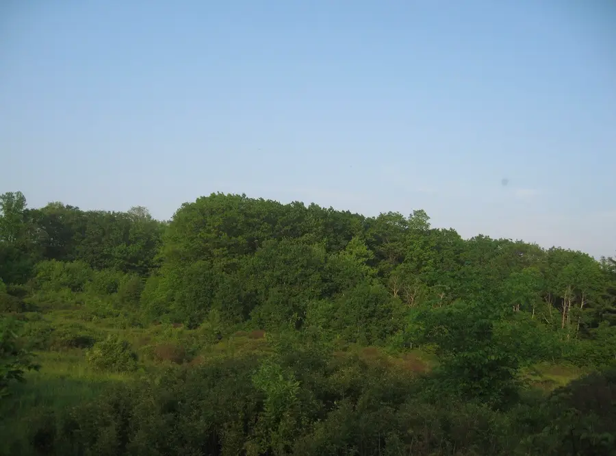 329 Chaffee St, Harpursville, NY 13787 - #3