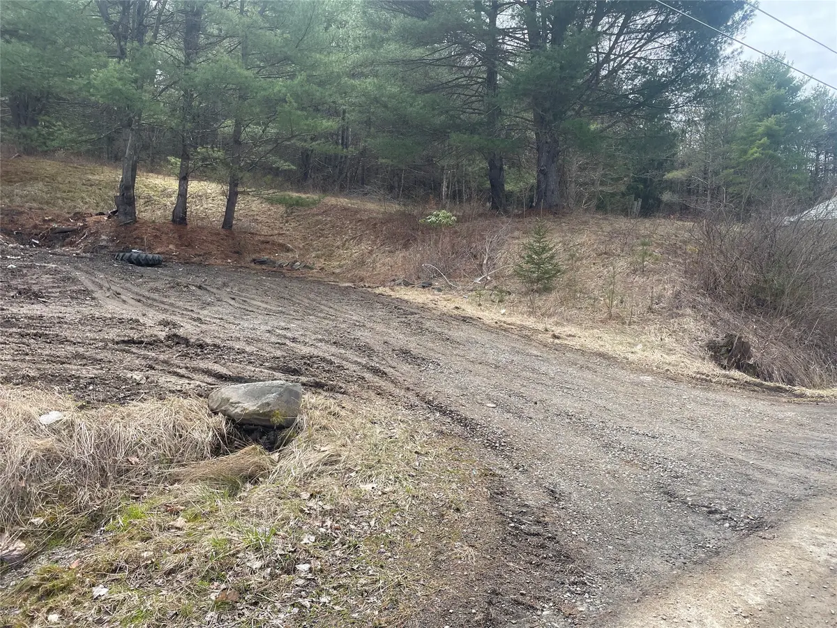 125 Old Newark Valley Road, Endicott, NY 13760 - #1