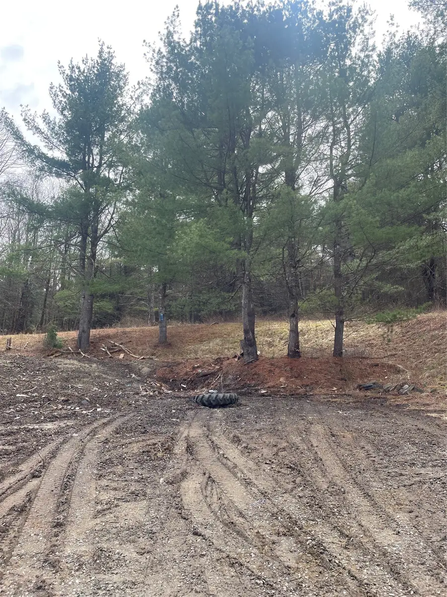 125 Old Newark Valley Road, Endicott, NY 13760 - #3