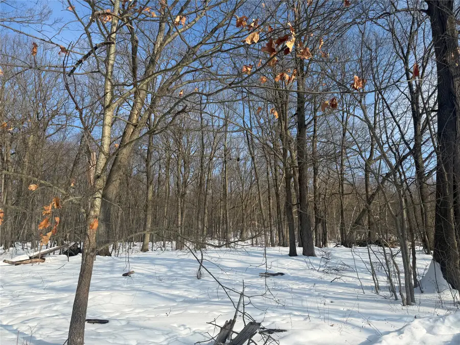 39 Forest Hill Rd, Binghamton, NY 13903 - #3