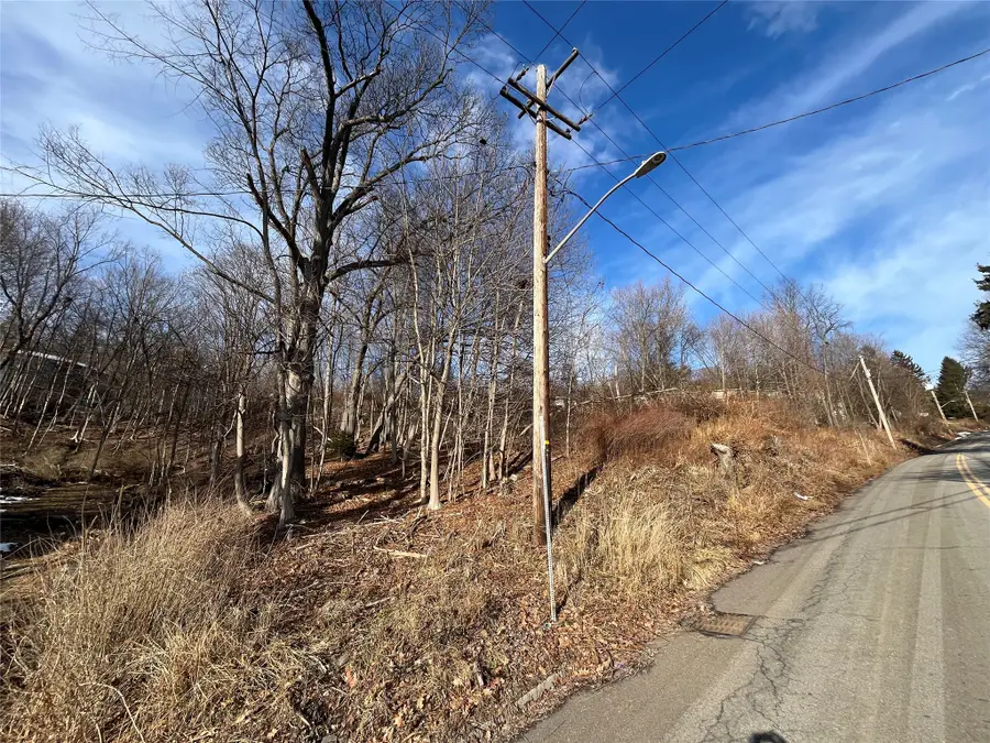 1 Ridge Street, Binghamton, NY 13905 - #2