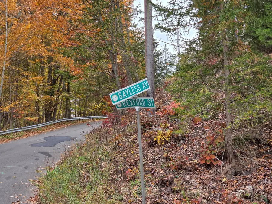 28 Bayless Avenue, Binghamton, NY 13903 - #3