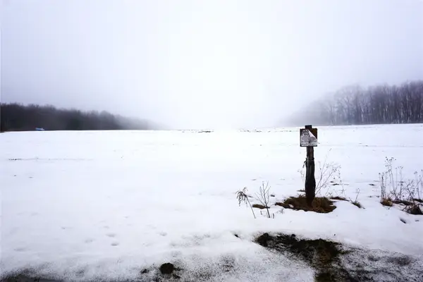 619 Sapbush Road, Chenango Forks, NY 13746