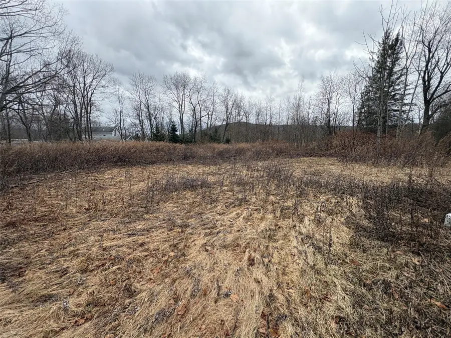 153 Stillwater Rd, Conklin, NY 13748 - #3