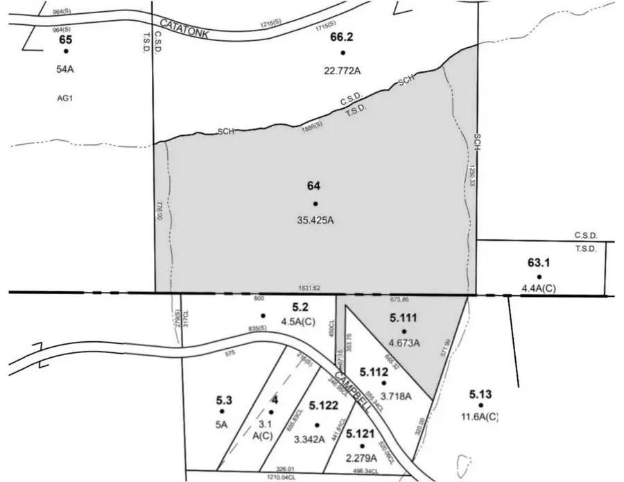 00 Campbell Hill Road, Owego, NY 13827 - #2