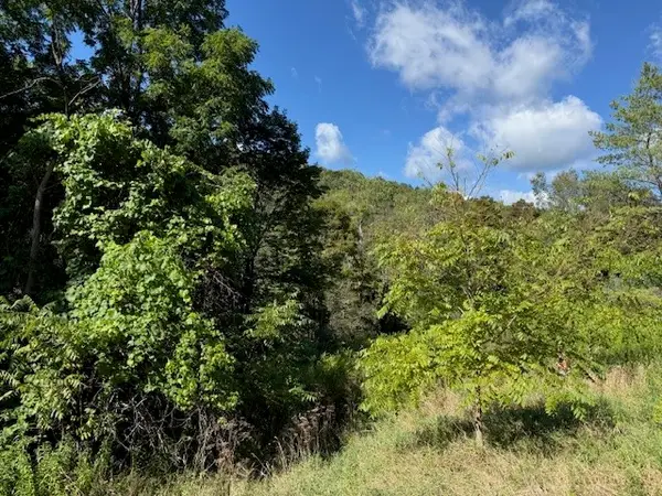 54 Evelien Hill Road, Owego, NY 13827