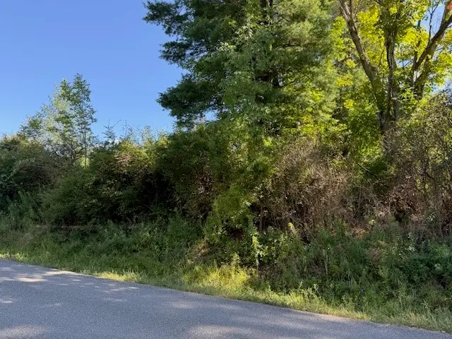 54 Evelien Hill Road, Owego, NY 13827 - #2