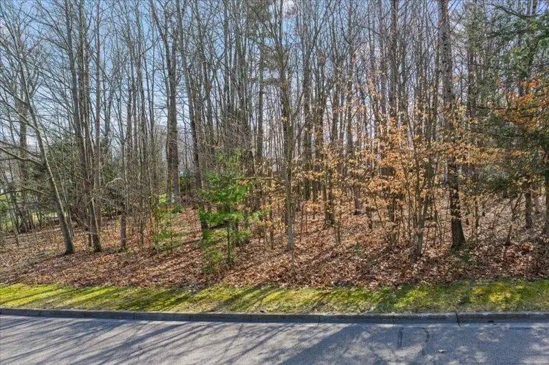 1183 Kevin Boulevard, Endicott, NY 13760 - #3