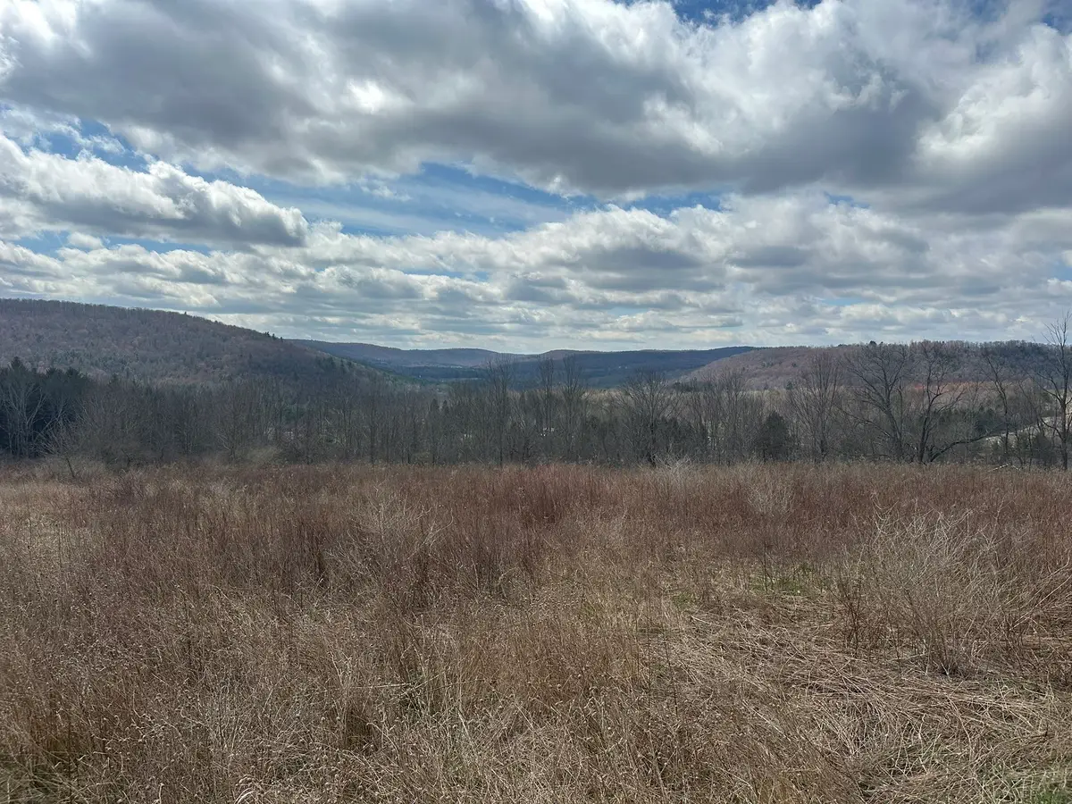 70 Scofield Road, Conklin, NY 13748 - #1