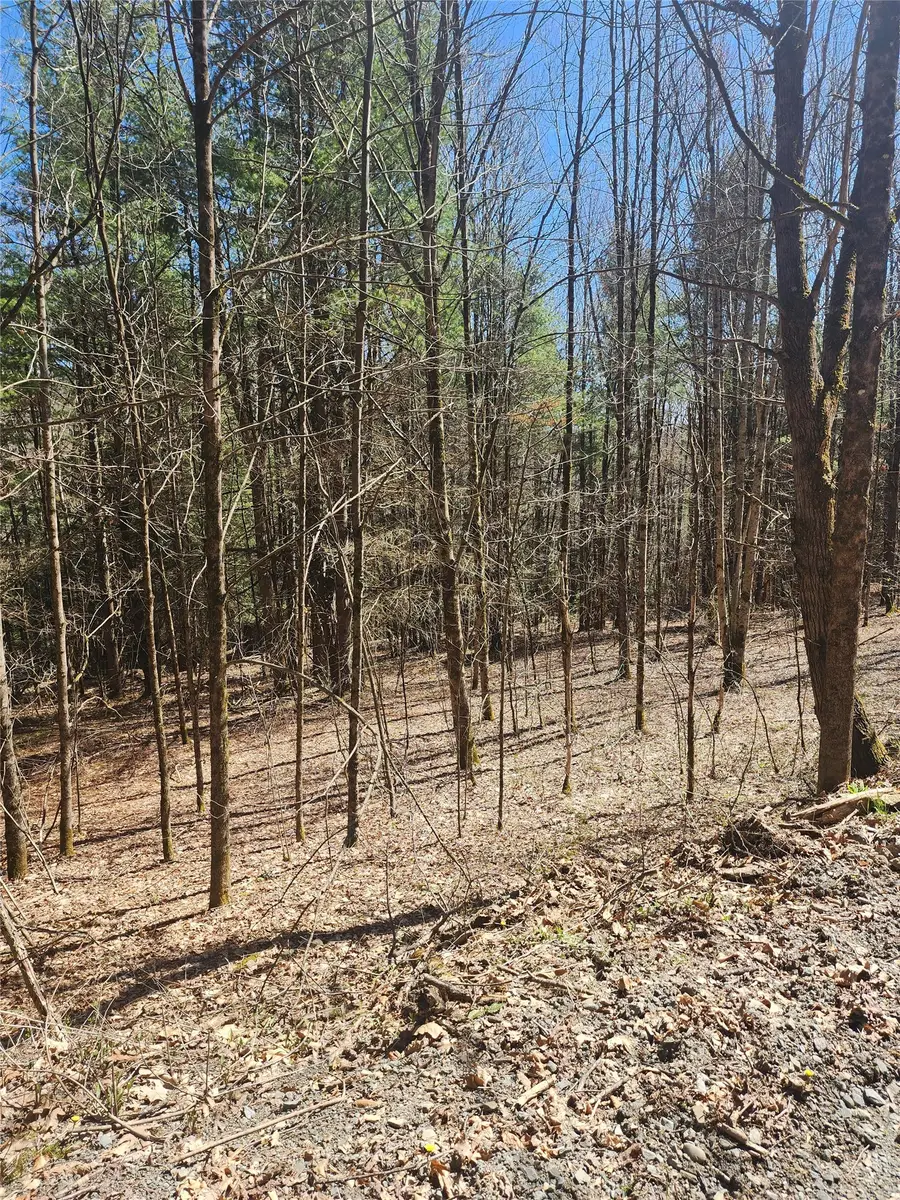 114 & 234 Tarbell Hill Road, Deposit, NY 13754 - #2