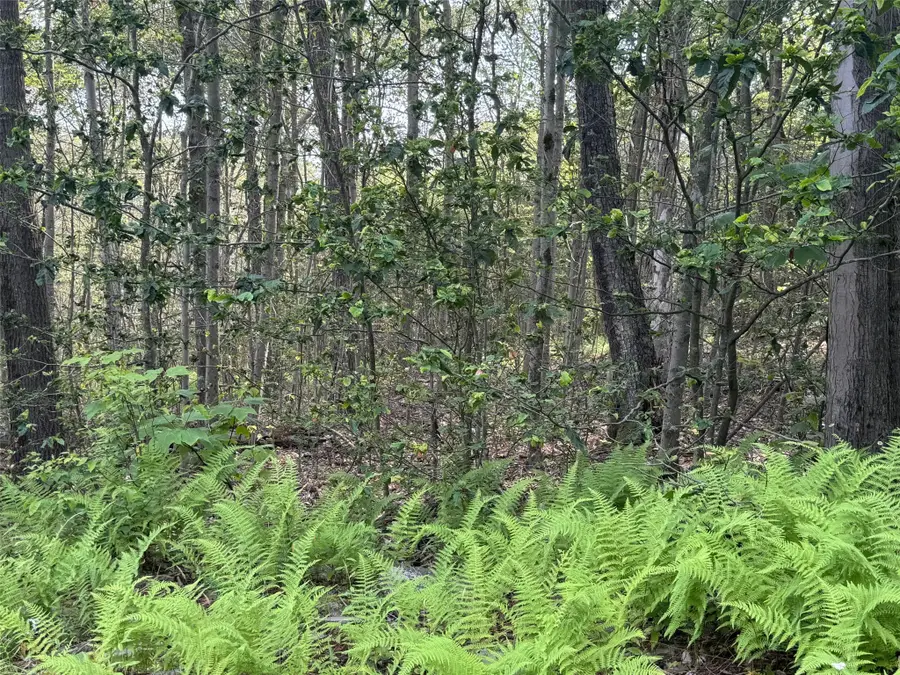 264 E Bosket Road, Windsor, NY 13865 - #2