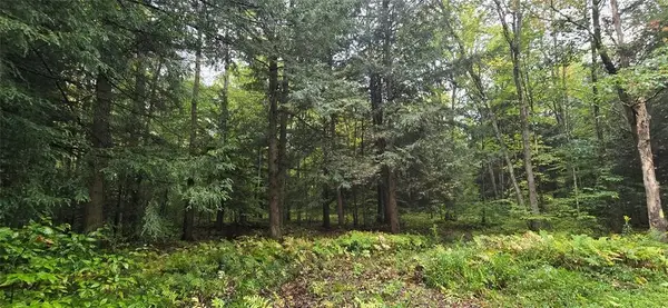 0 Sprague Road, Afton, NY 13730