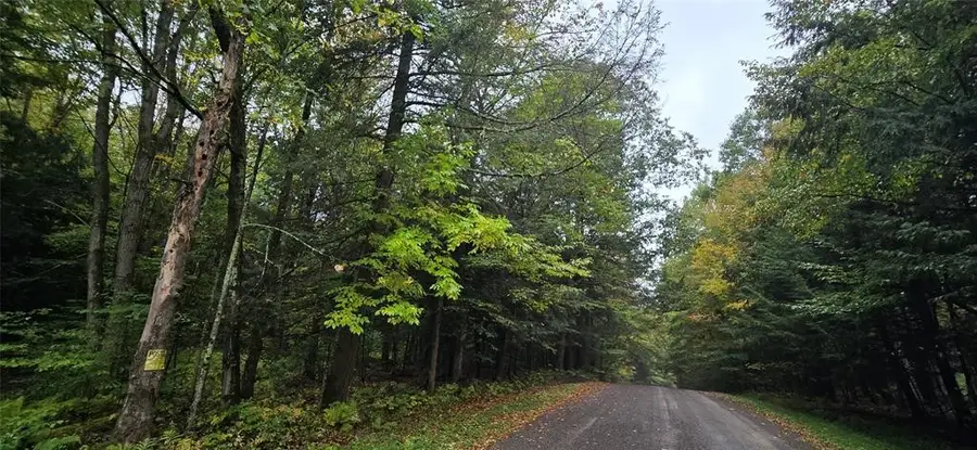 0 Sprague Road, Afton, NY 13730 - #2