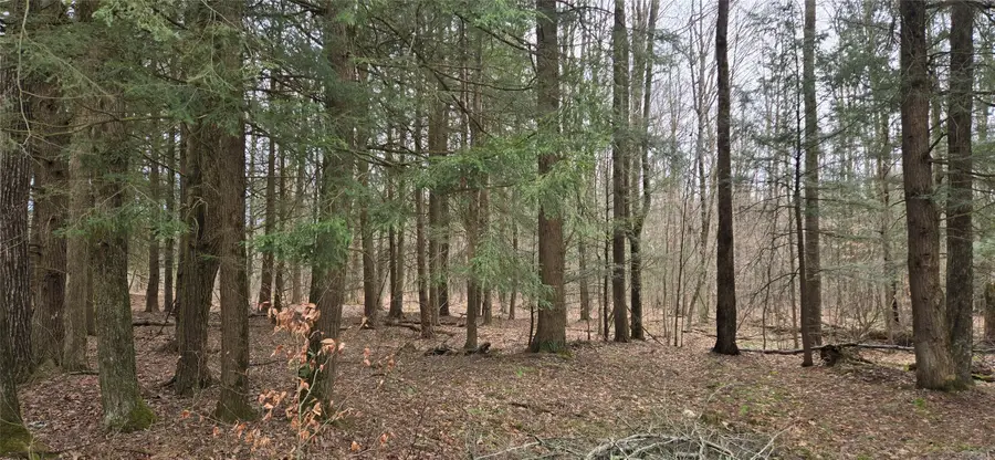 0 Sprague Road, Afton, NY 13730 - #3