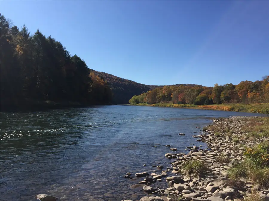 2522 Bouchouxville Road, Hancock, NY 13783 - #2