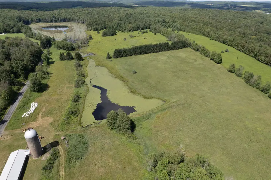 180 Puckerville Road, Oxford, NY 13830 - #2