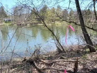 1320-B River Rd, Binghamton, NY 13901 - #3