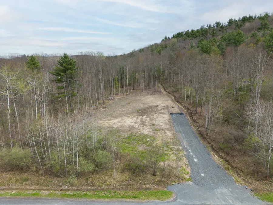 11 Maple Drive, Kirkwood, NY 13795 - #3