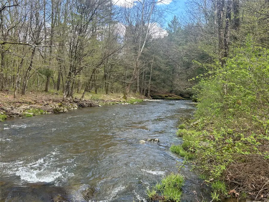 848 Ouaquaga Road, Windsor, NY 13865 - #3