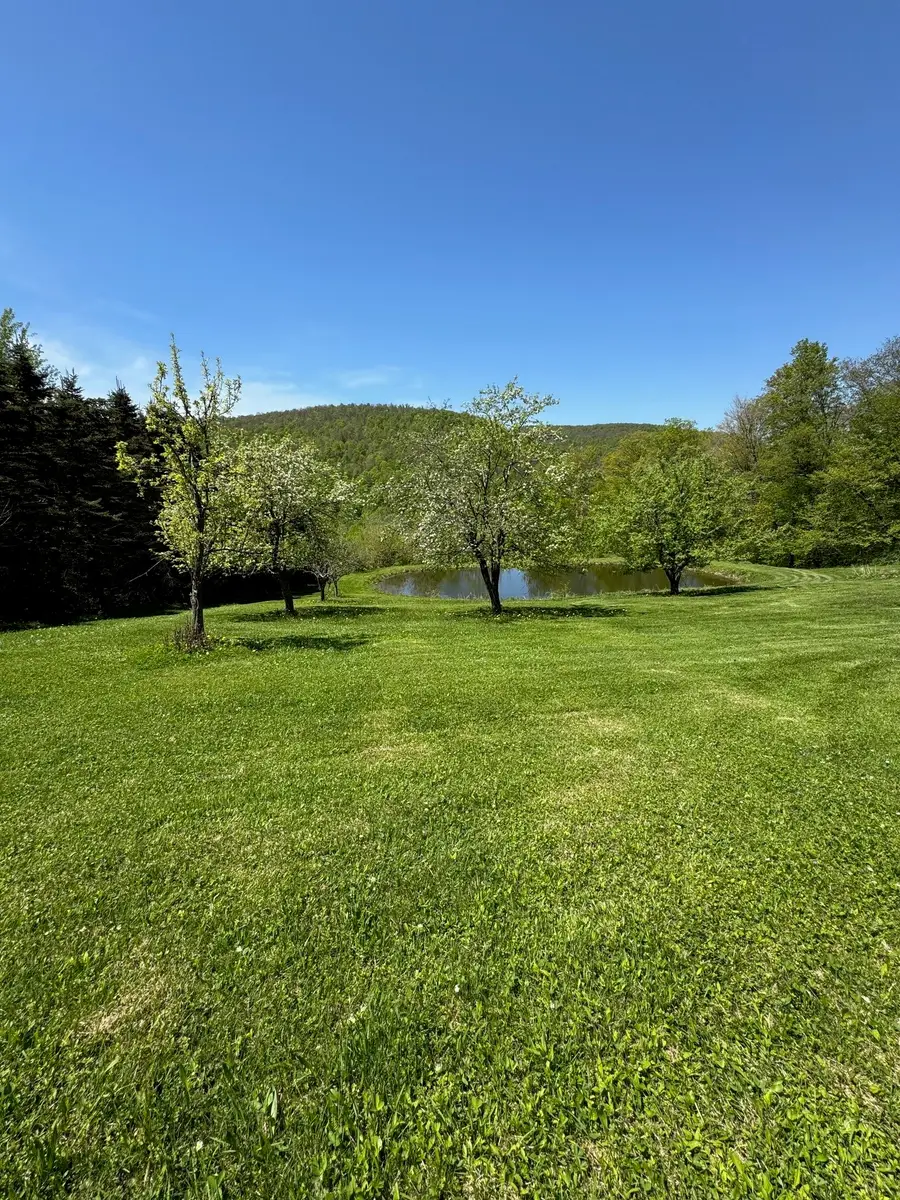 1624 Carcass Brook Road, Walton, NY 13856 - #3