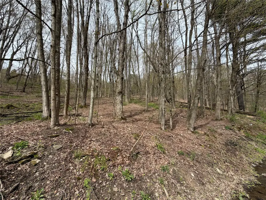 509 Welton, Harpursville, NY 13787 - #2