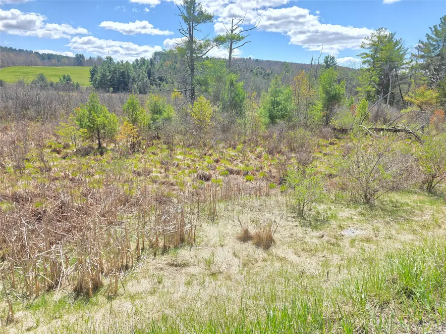00 Rt-79, Richford, NY 13835 - #3