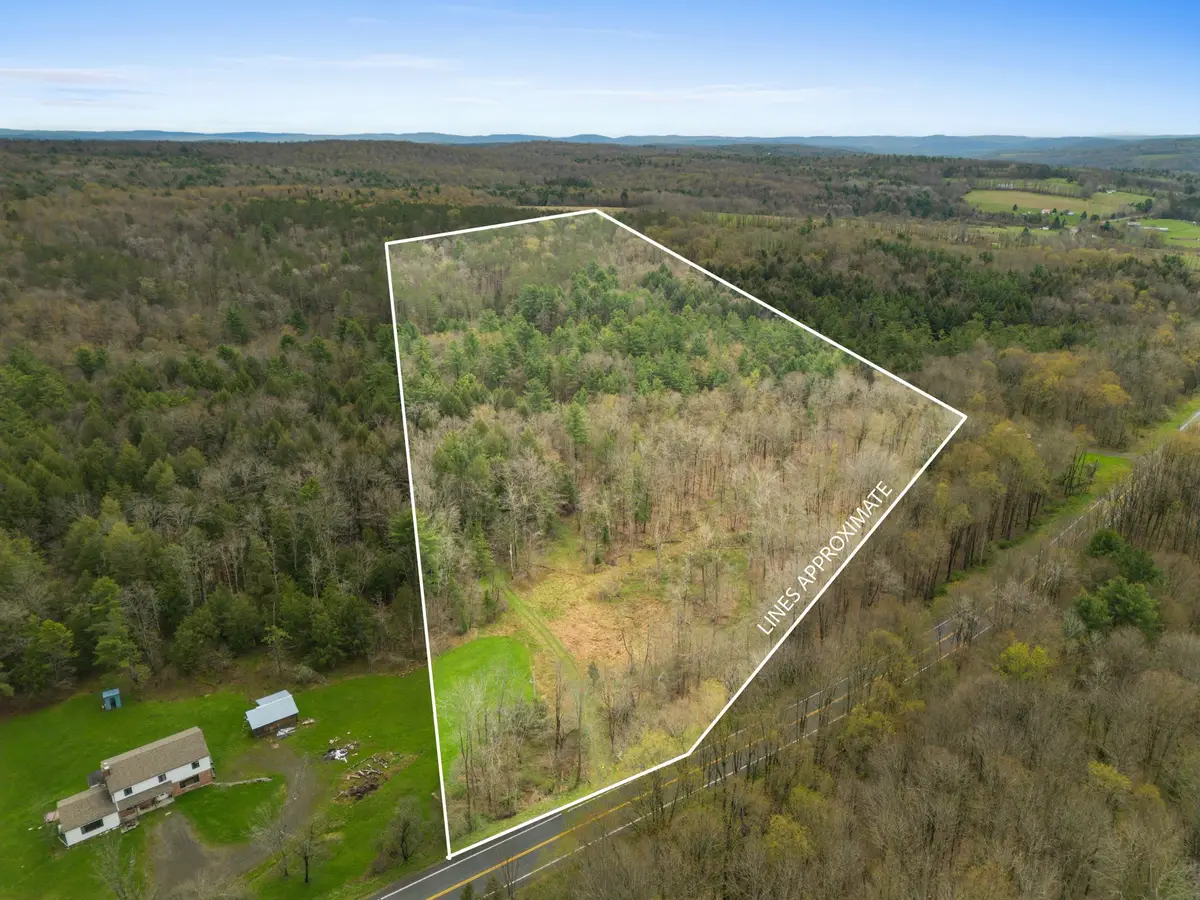 00 Ny 235, Greene, NY 13778 - #1