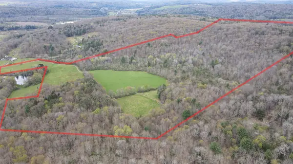 124 Page Rd, Chenango Forks, NY 13746