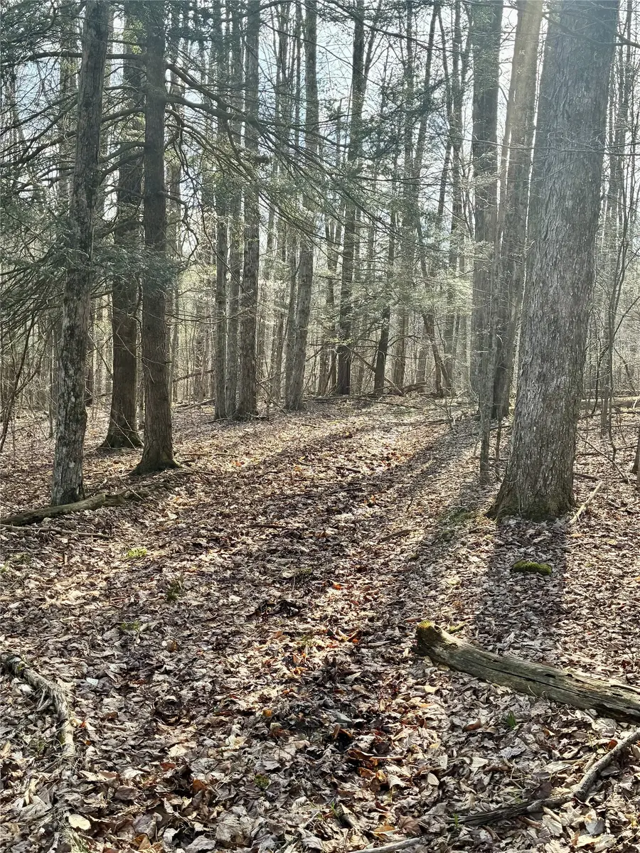 140 Bell Road, Windsor, NY 13865 - #3