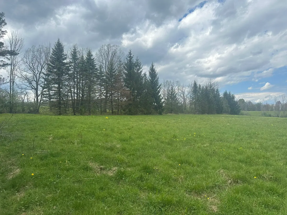 199 Castleman Road, Vestal, NY 13850 - #1