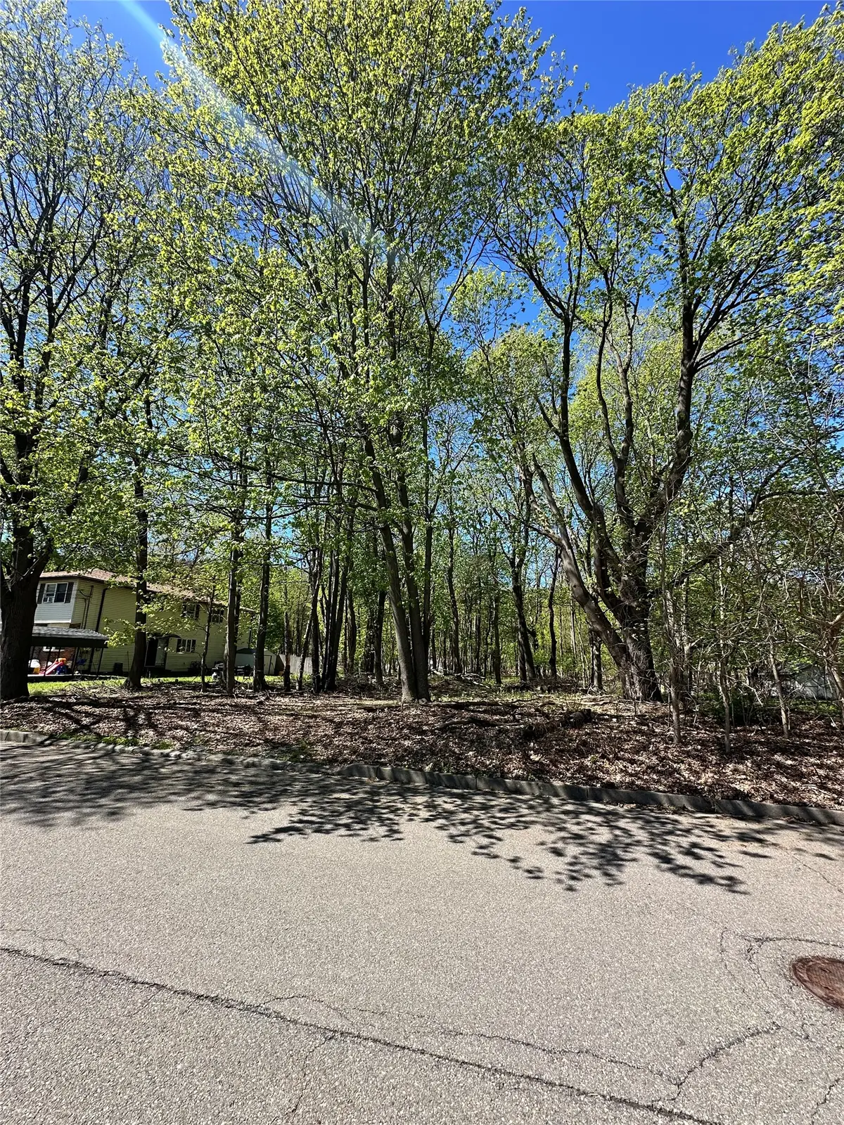 16 Pierce Street, Binghamton, NY 13903 - #1