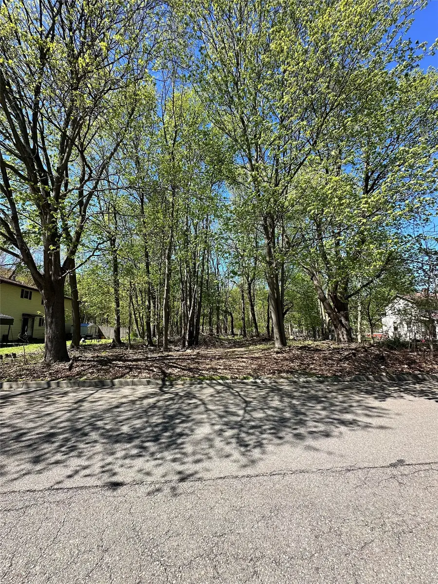16 Pierce Street, Binghamton, NY 13903 - #2