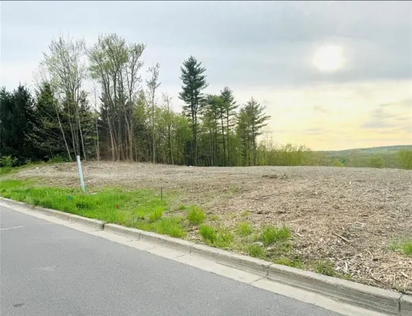 1005 Gabriella Avenue, Endicott, NY 13760