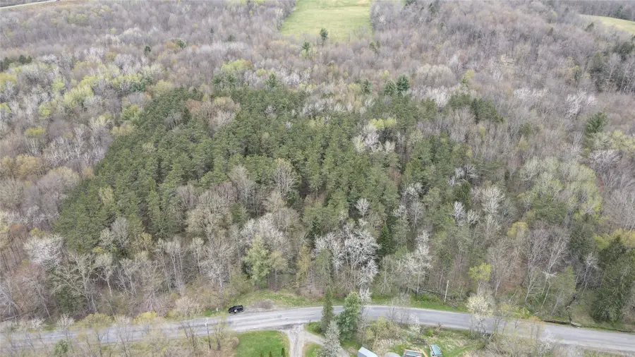 361 Leekville Rd, Glen Aubrey, NY 13777 - #2