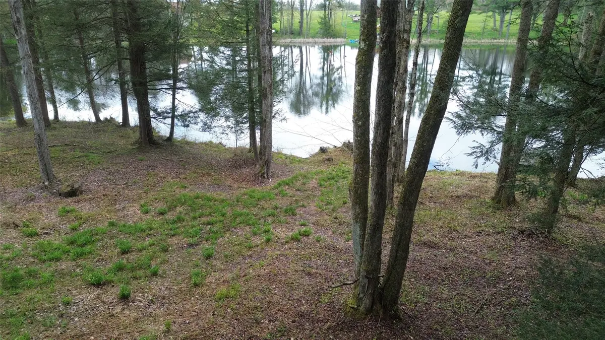Lot 10 Lady Lane, Greene, NY 13778 - #1