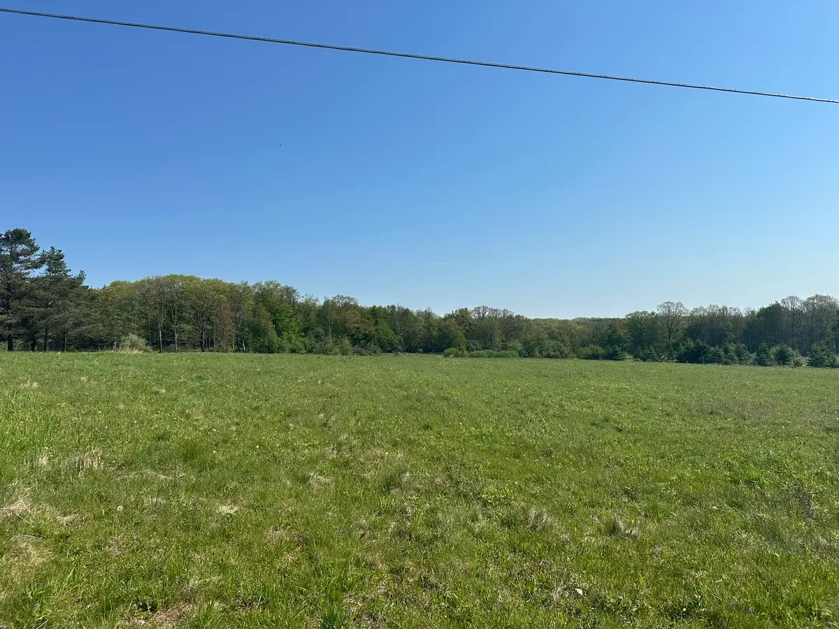 219 Castleman Road, Vestal, NY 13850 - #1