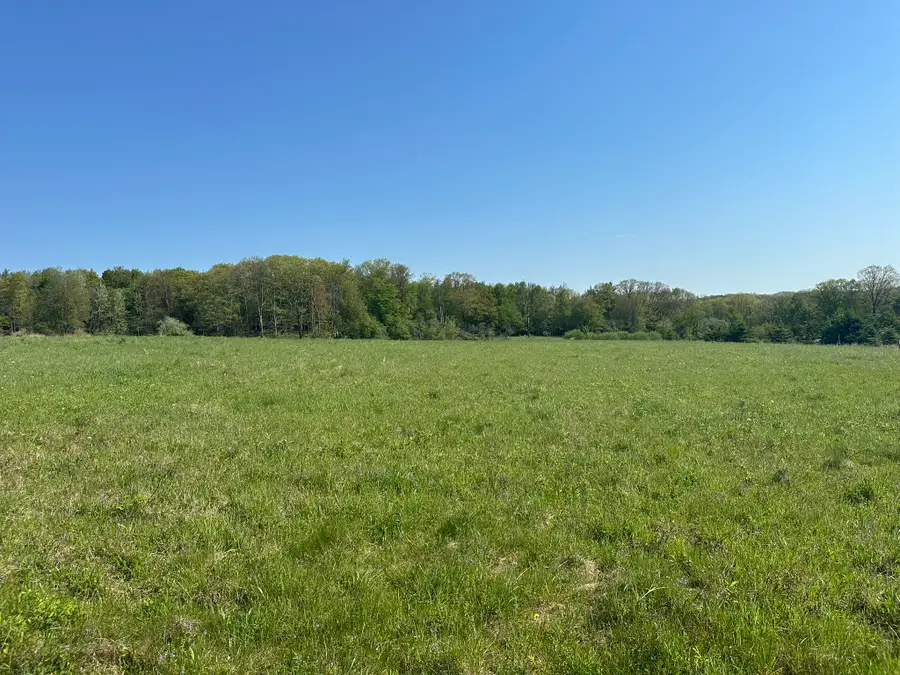 219 Castleman Road, Vestal, NY 13850 - #2