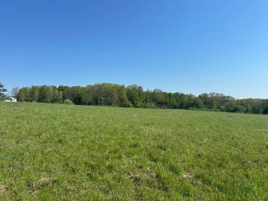 219 Castleman Road, Vestal, NY 13850 - #3