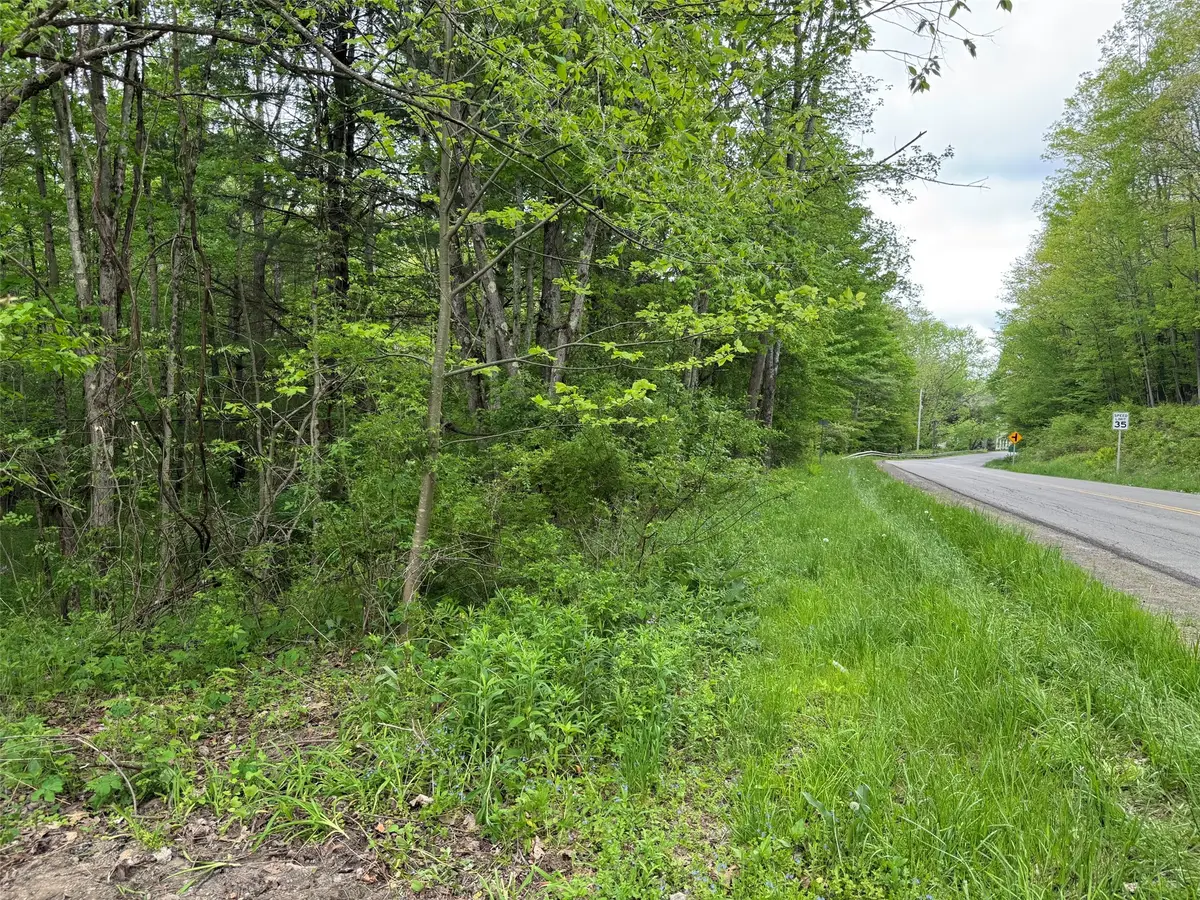 629 (part of) E Windsor Road, Windsor, NY 13865 - #1