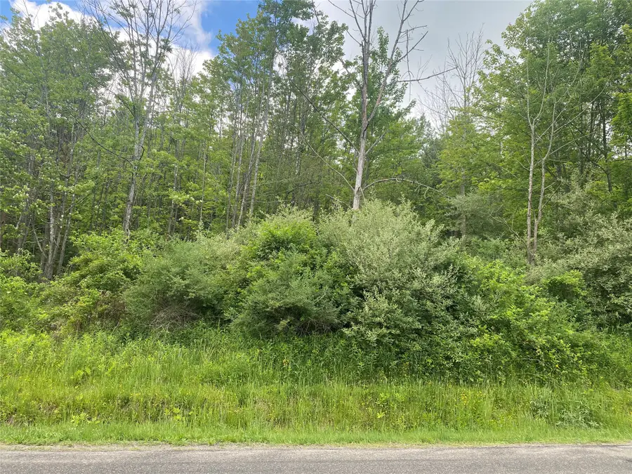 144 Brown Road, Vestal, NY 13850 - #3