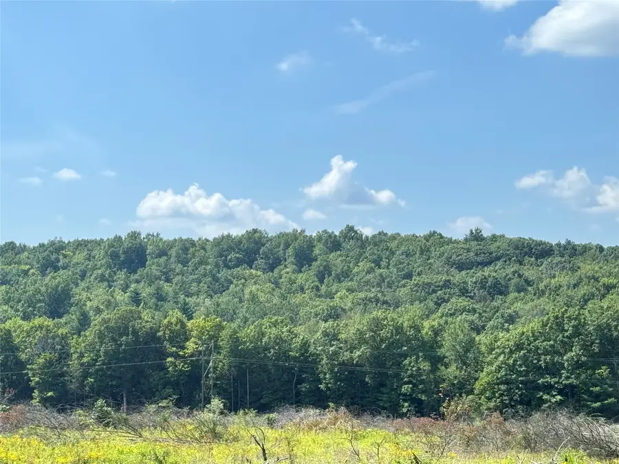 840 S Jensen Road, Vestal, NY 13850 - #2