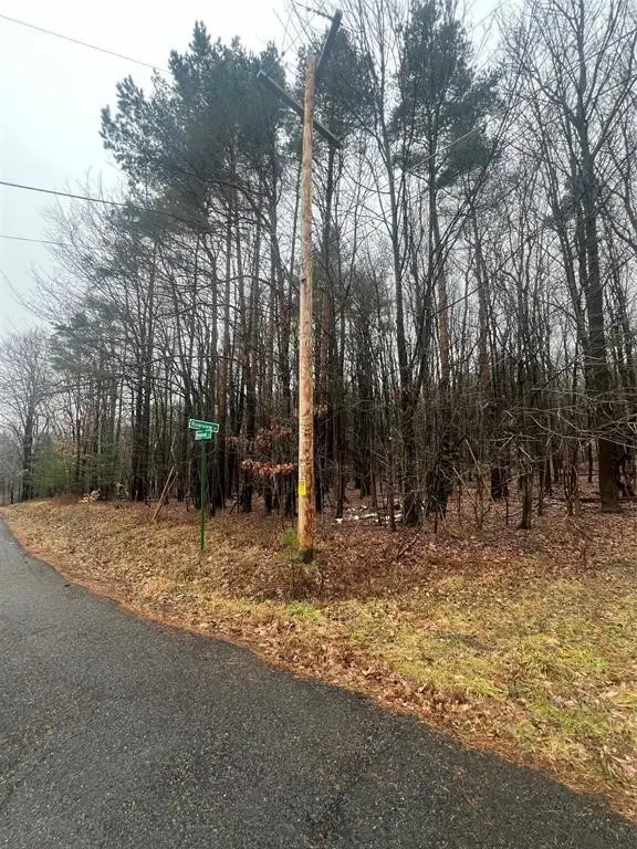 1984 Reservoir Street, Binghamton, NY 13903 - #3