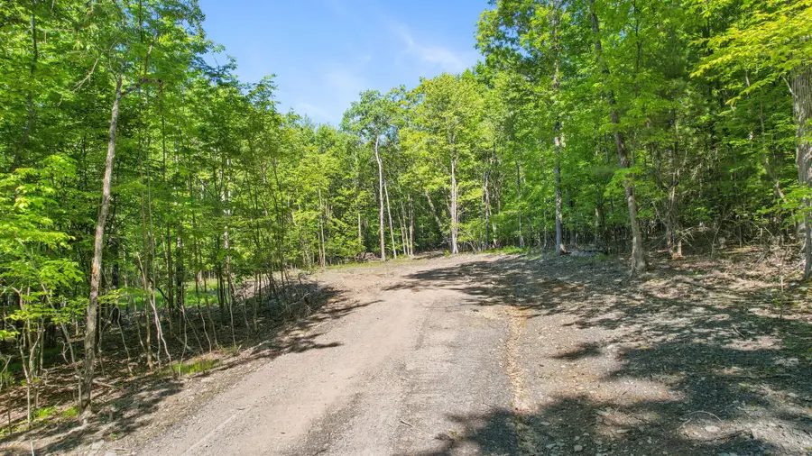 315 Gaf Lake Rd, Windsor, NY 13865 - #3