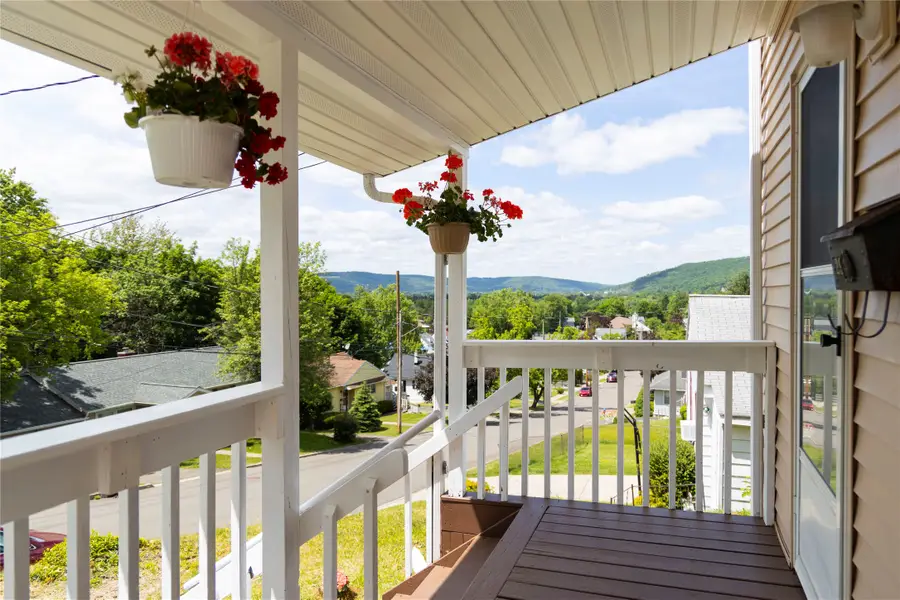 29 Delmar Street, Binghamton, NY 13903 - #3